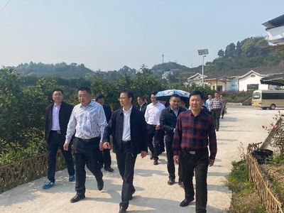 瀘州市委統(tǒng)戰(zhàn)部赴合江縣調(diào)研涉臺(tái)產(chǎn)業(yè)發(fā)展，聚焦稻谷產(chǎn)業(yè)合作與鄉(xiāng)村振興